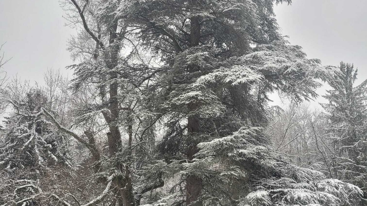 Photo of Outdoor in La Chapelle-du-Bard