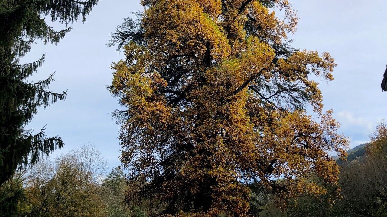 Photo of Outdoor in La Chapelle-du-Bard