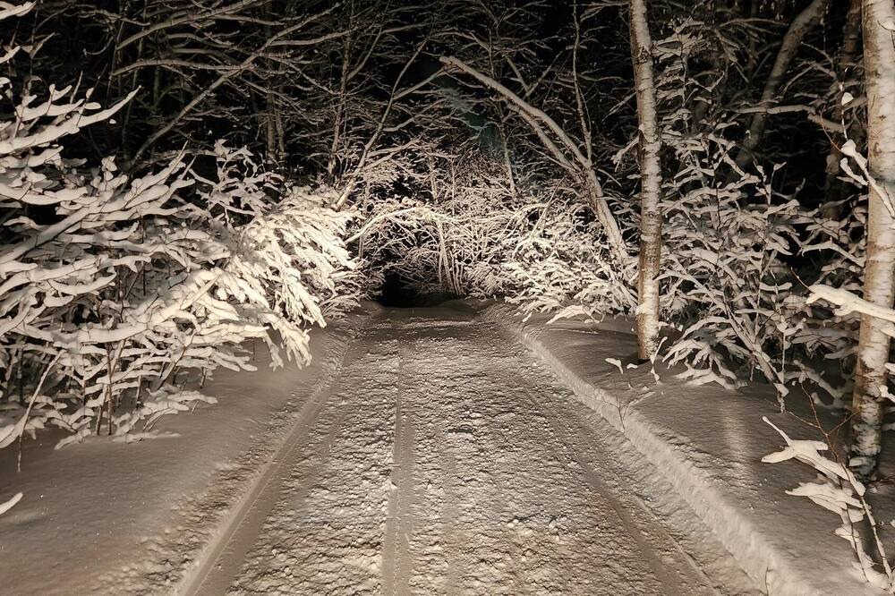 Photo of Outdoor in Naughton