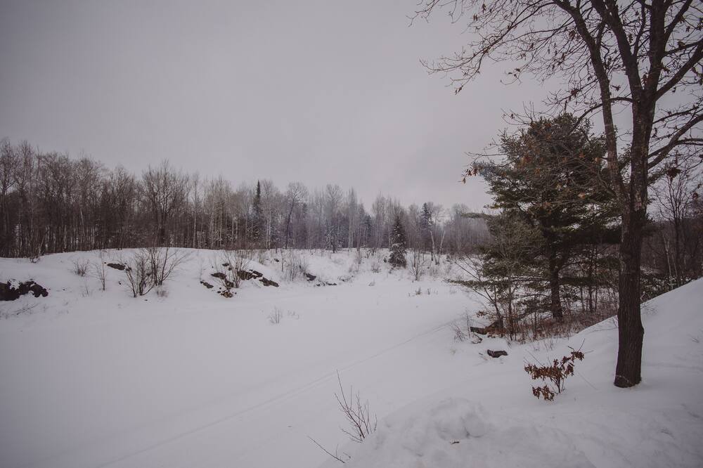 Photo of Outdoor in Naughton