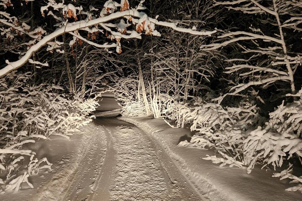 Photo of Others in Naughton