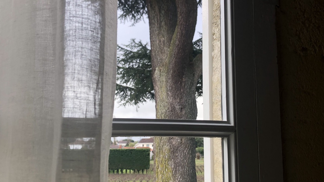 Photo of Outdoor in Libourne