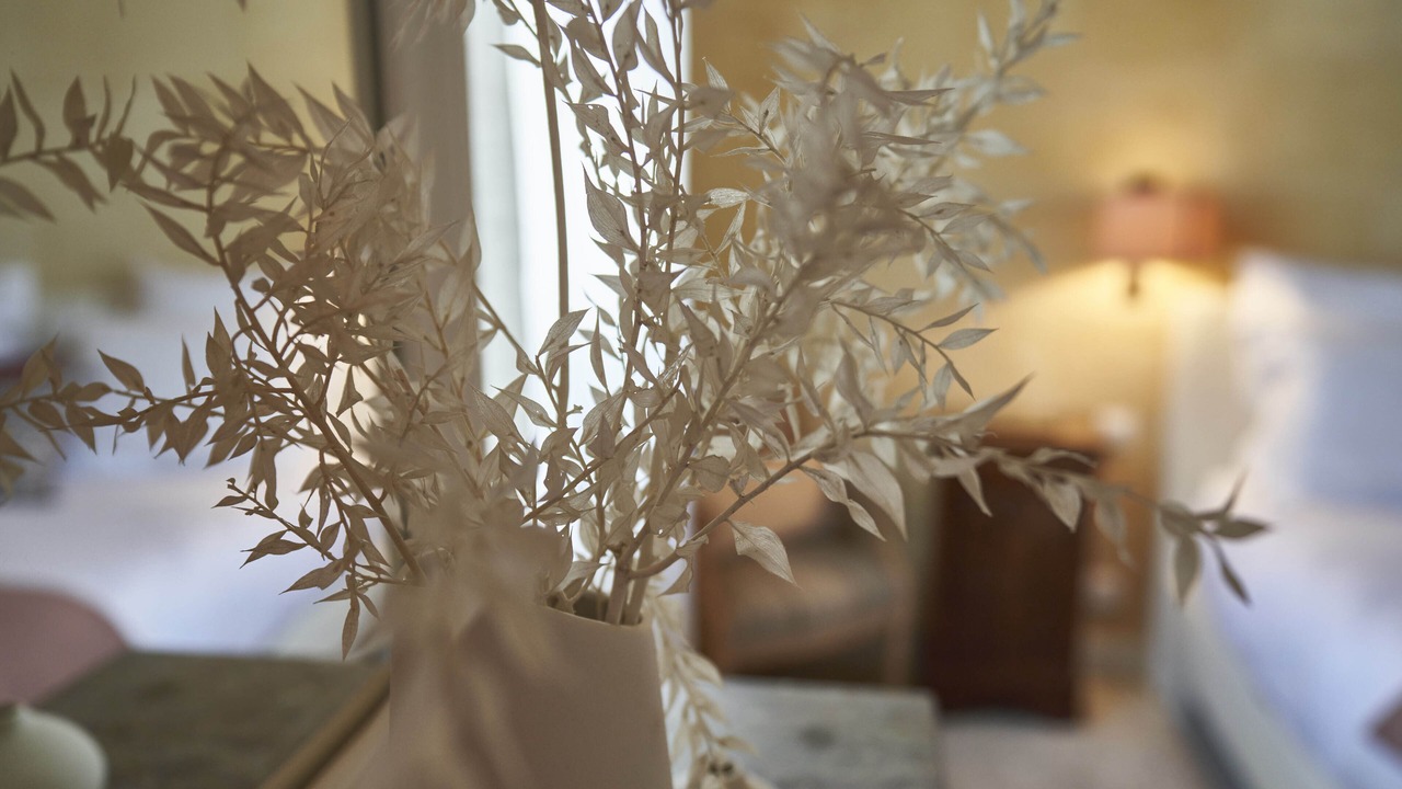 Photo of Outdoor in Libourne