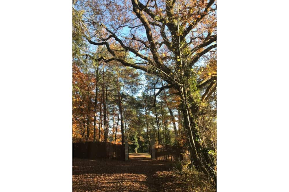 Photo of Outdoor in Saint-Vigor