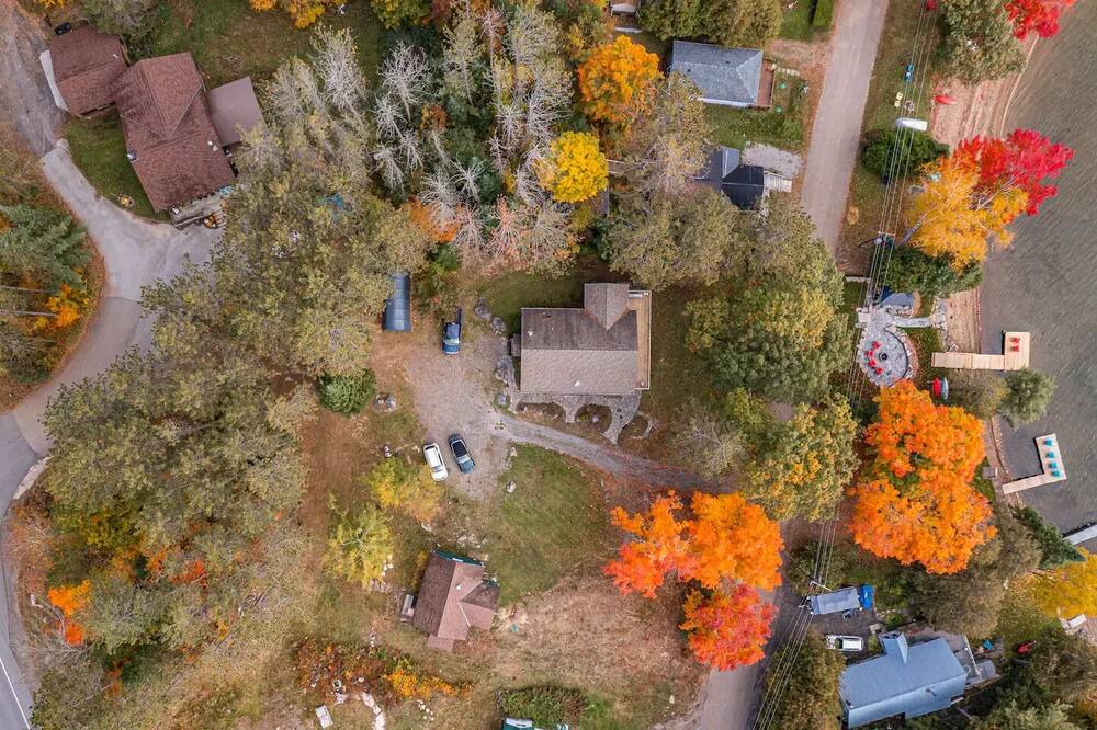 Photo of Outdoor in Algonquin Highlands
