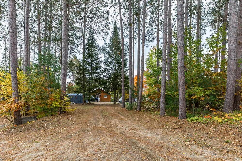 Photo of Outdoor in Algonquin Highlands