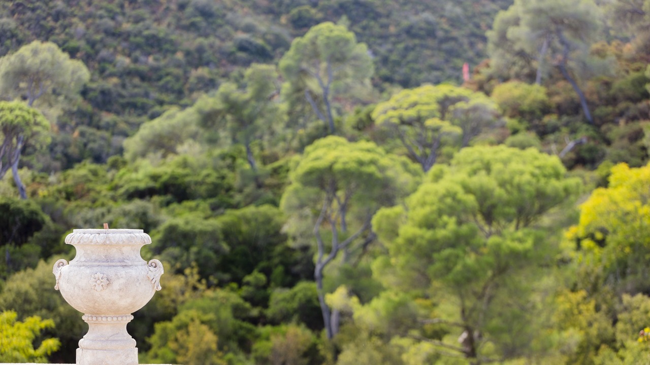 Photo of Outdoor in Collias