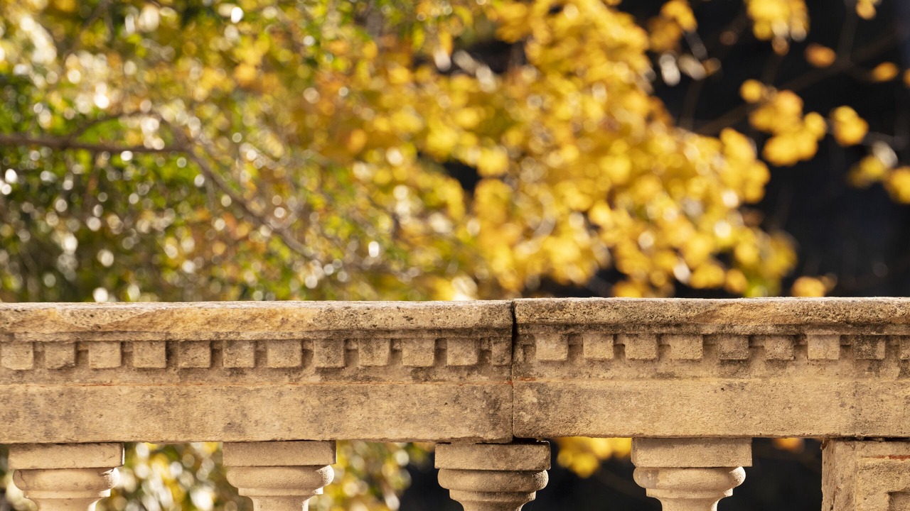 Photo of Outdoor in Collias