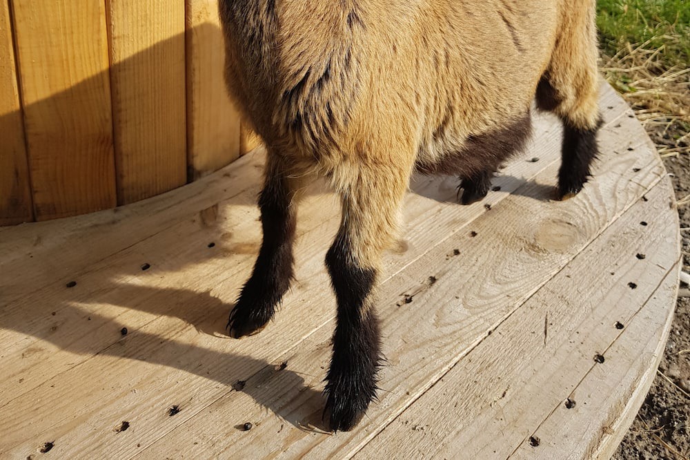 Photo of Others in Saint-Gilles