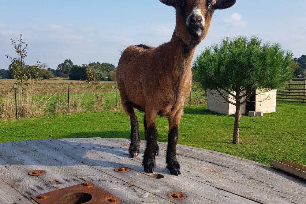 Photo of Outdoor in Saint-Gilles