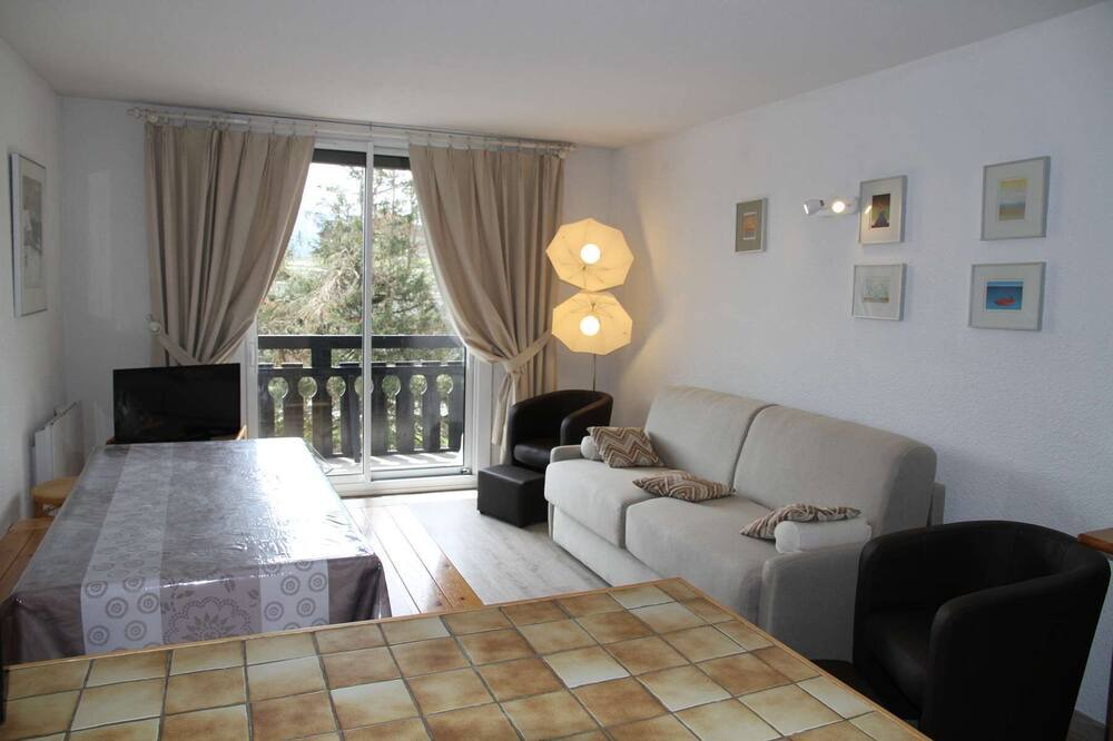 Photo of Livingroom in Pla d'Adet