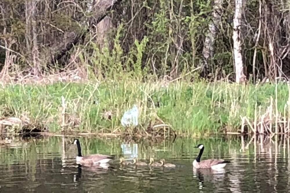 Photo of Others in Caledon
