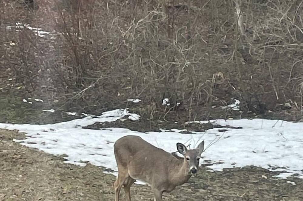 Photo of Outdoor in Caledon