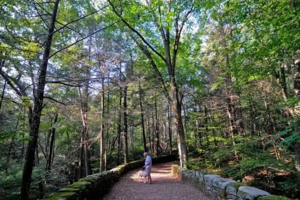 Photo of Others in Middletown