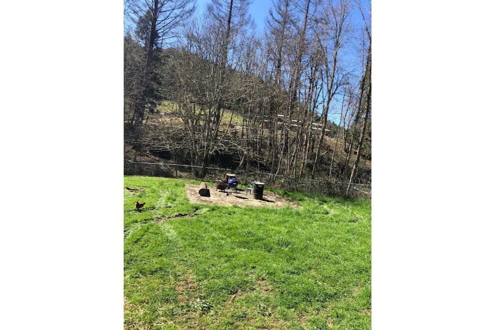 Photo of Outdoor in Days Creek