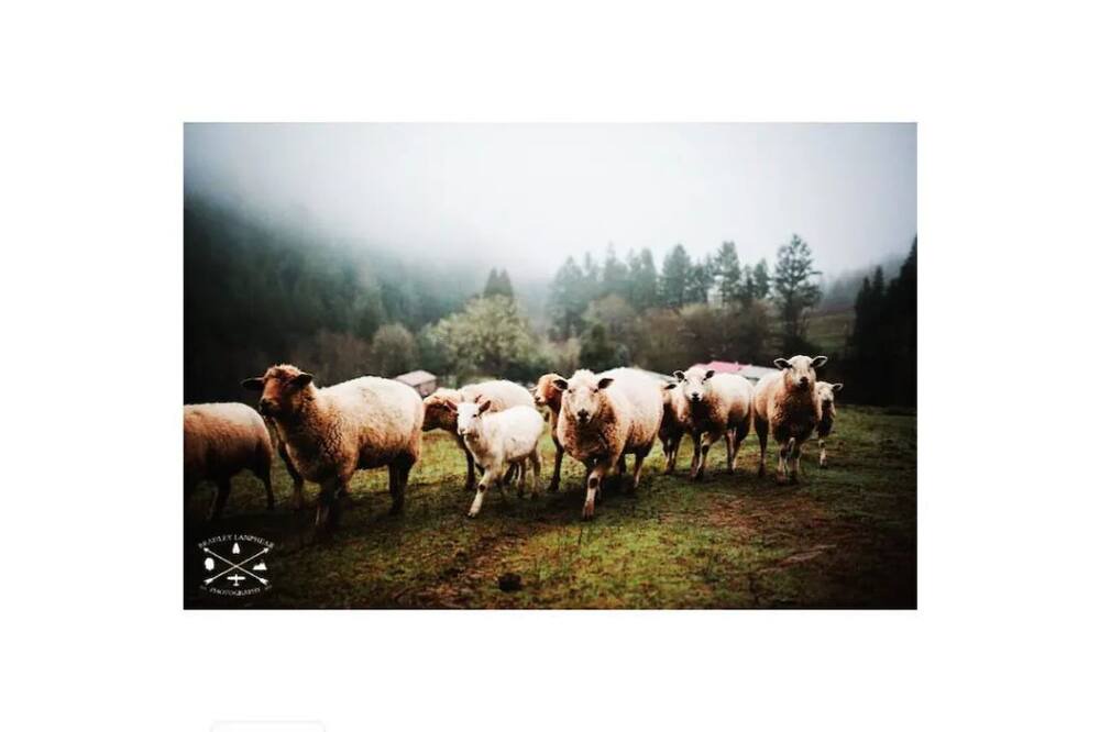 Photo of Outdoor in Days Creek