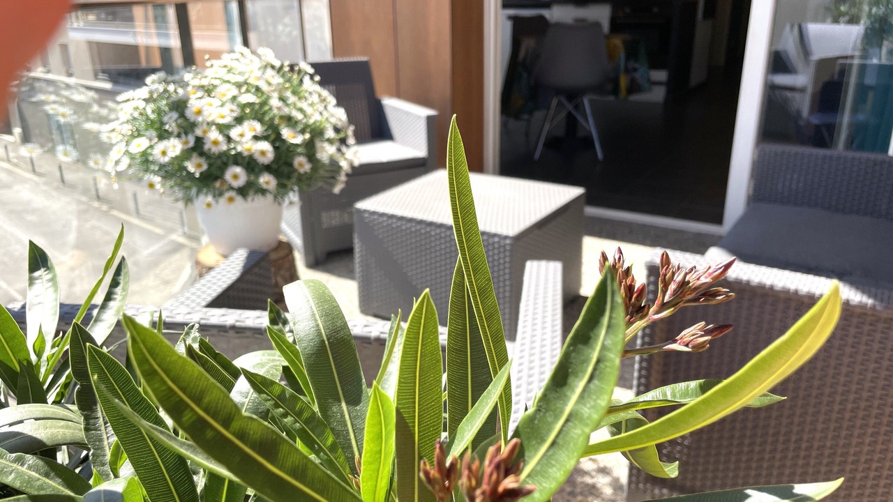 Photo of Outdoor in Gap