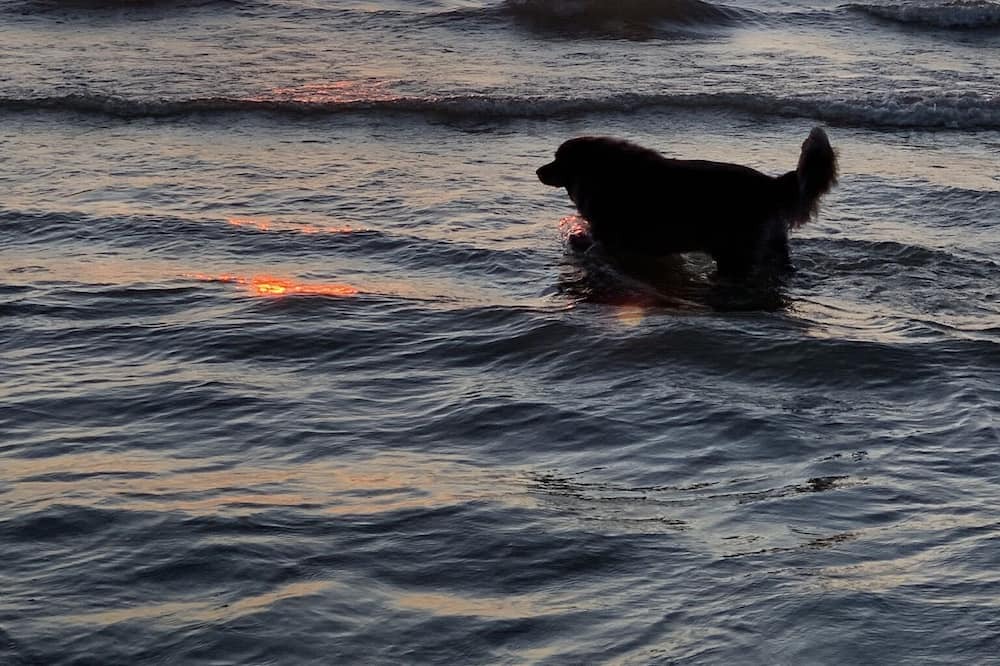 Photo of Others in Lester Beach