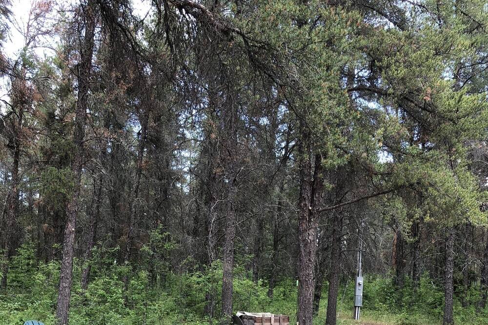 Photo of Outdoor in Lester Beach