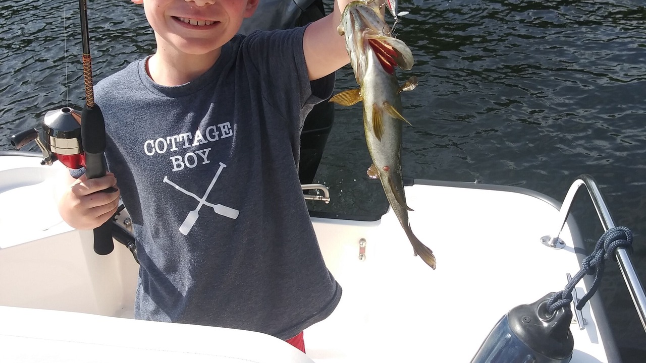 Photo of Others in Muskoka Lakes