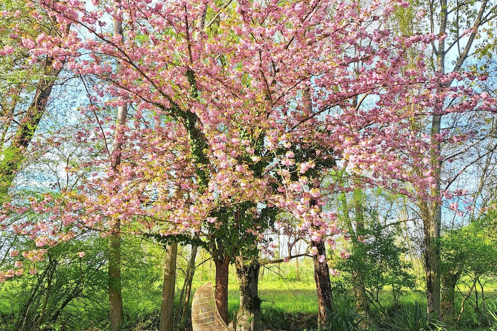 Photo of Outdoor in Champagnac