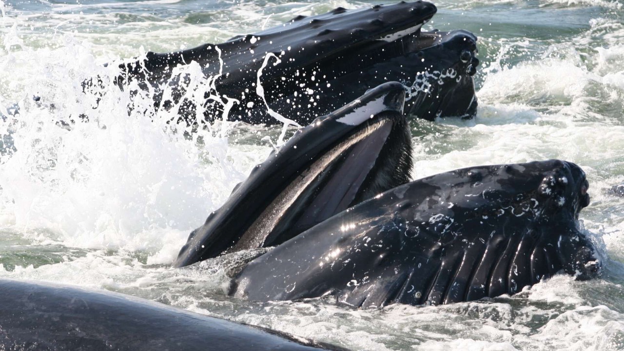 Photo of Outdoor in Newbury