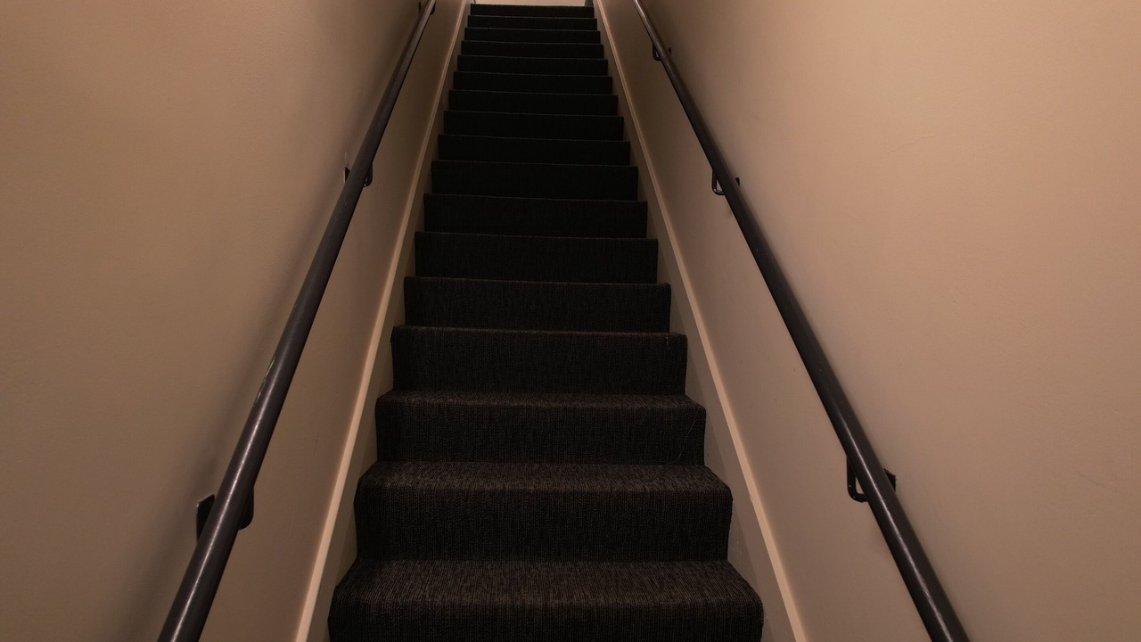 Photo of Others in Lower Pacific Heights