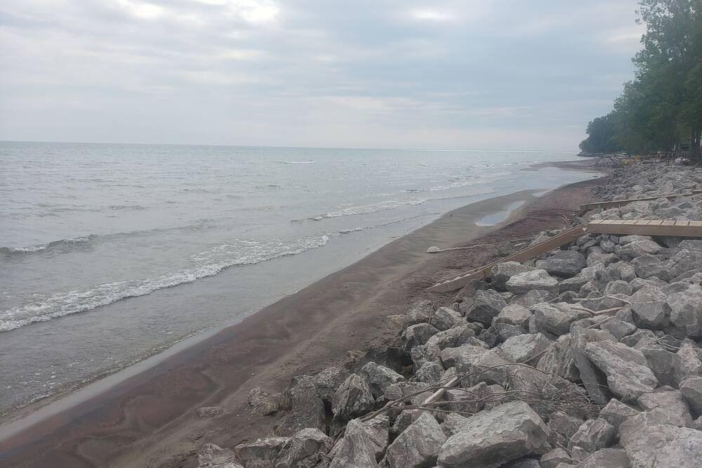 Photo of Others in Long Point