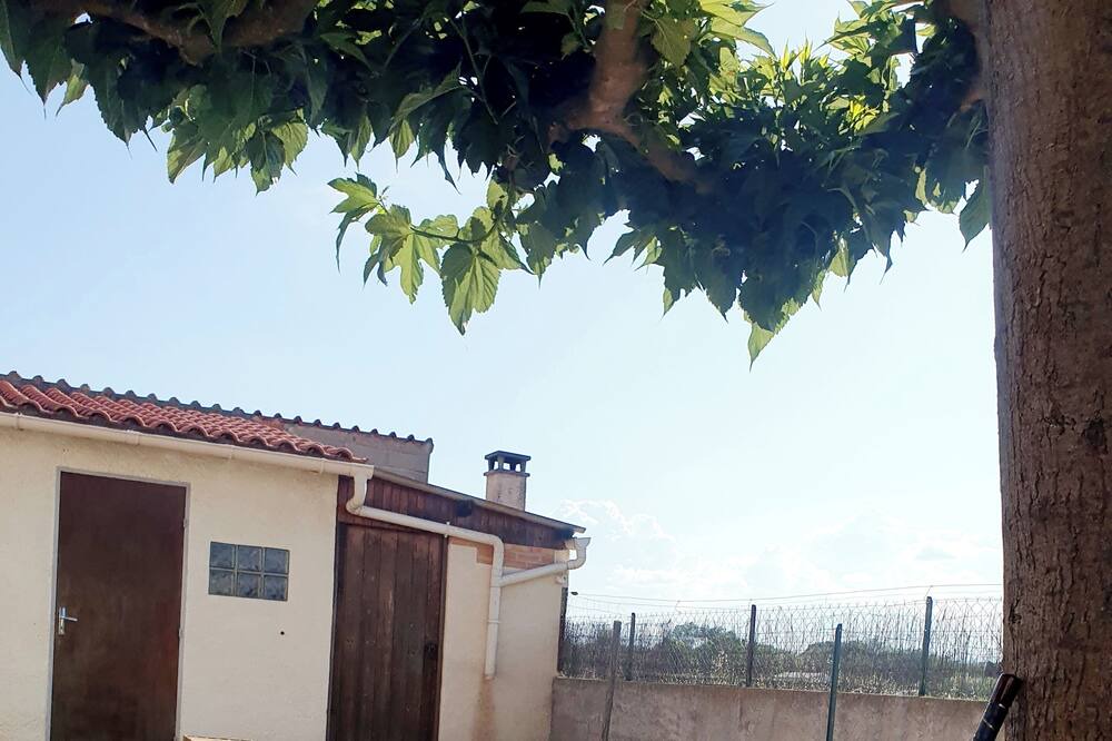 Photo of Others in Bages