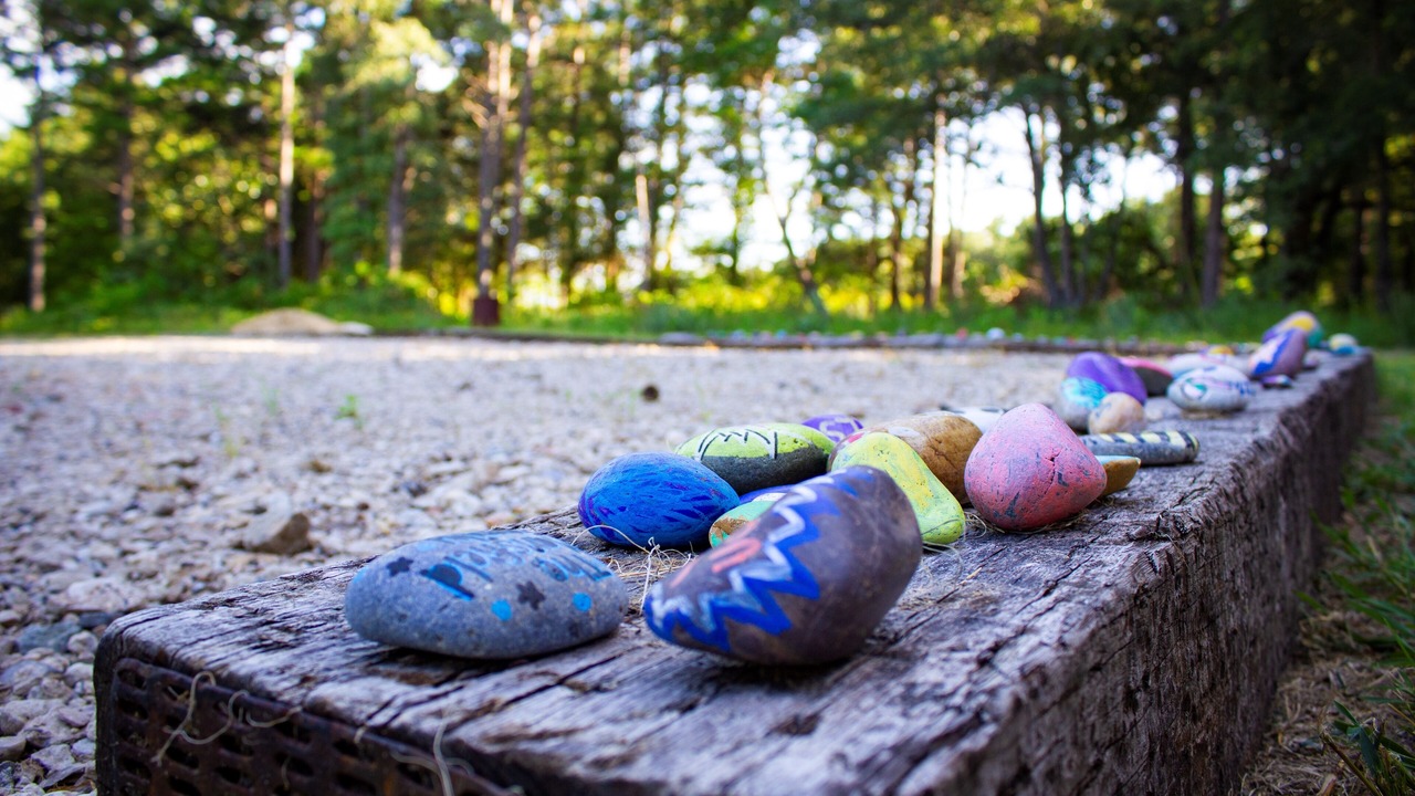 Photo of Outdoor in Tyler