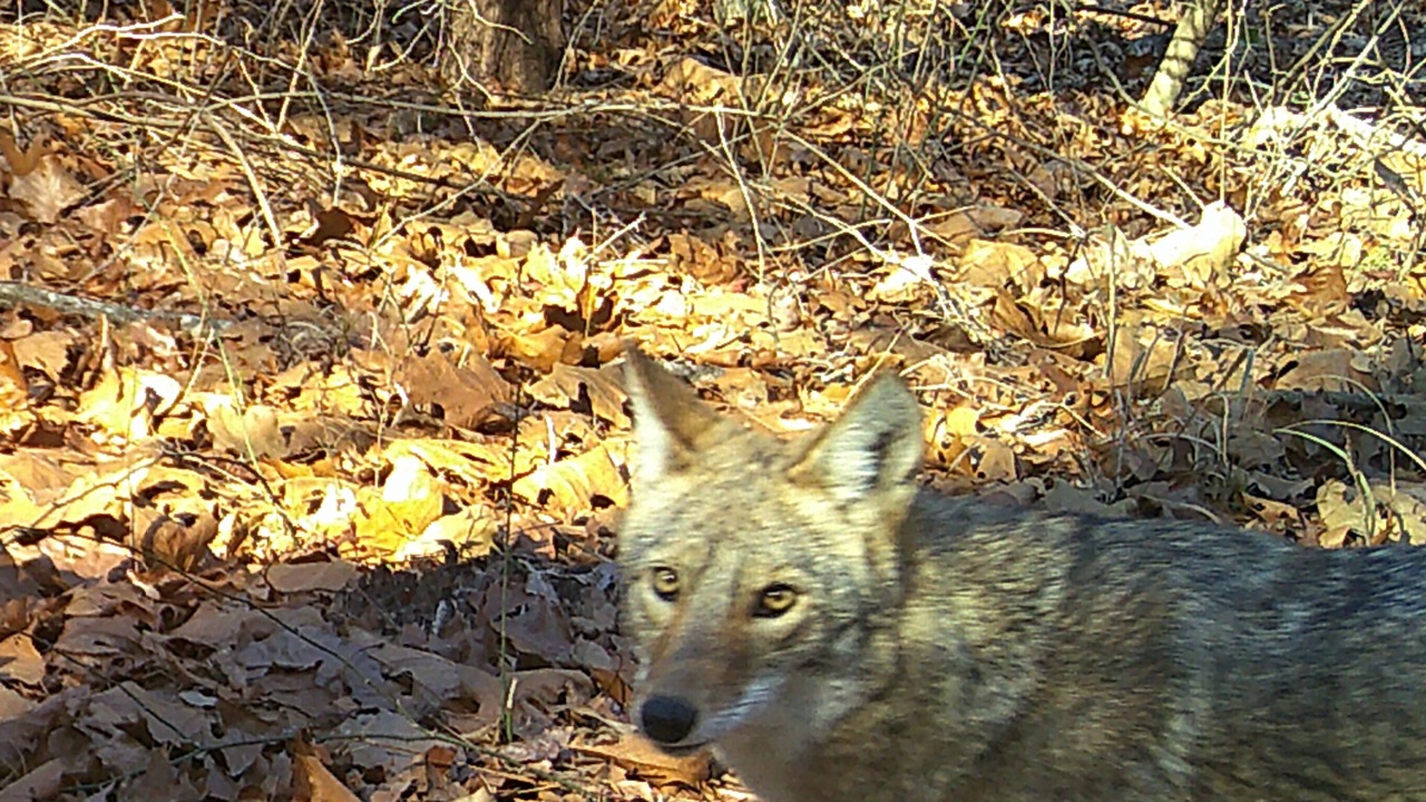 Photo of Others in Tyler