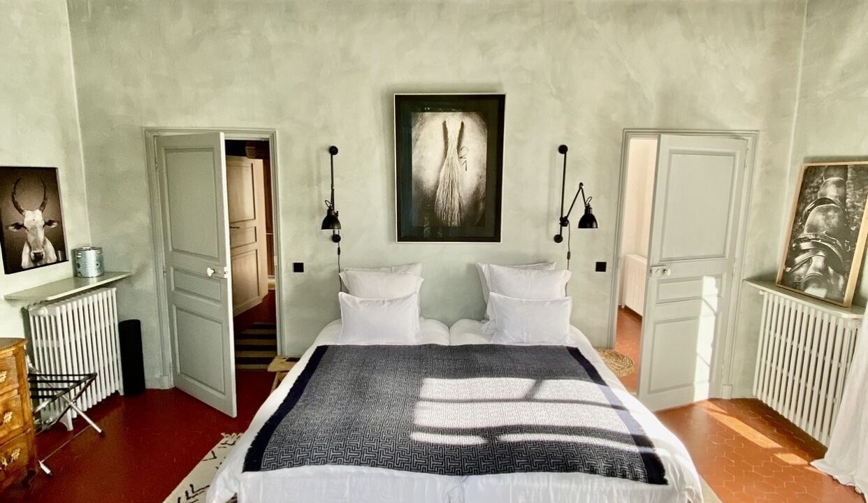 Photo of Others in Mane