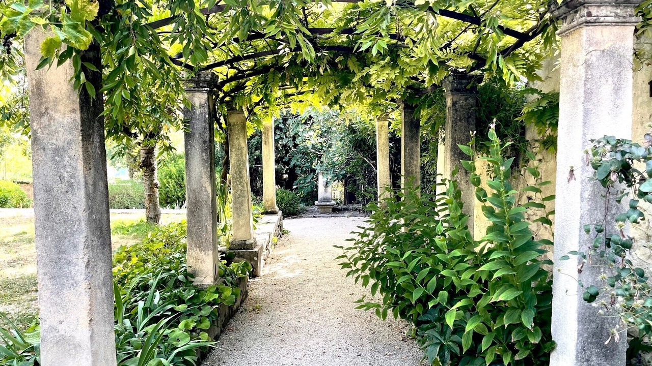 Photo of Outdoor in Mane