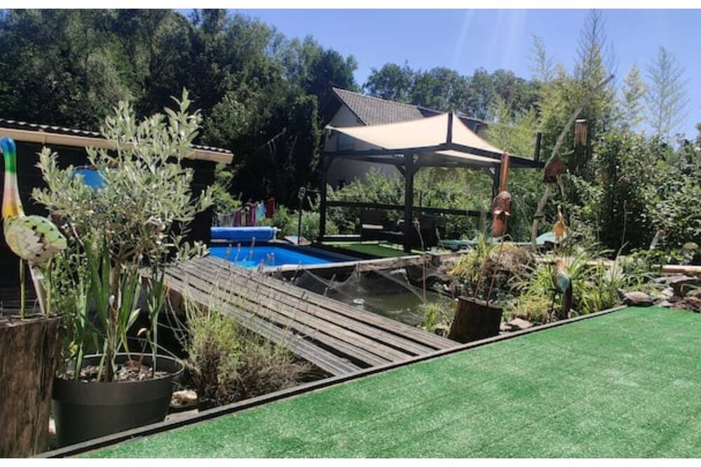 Photo of Others in Betting