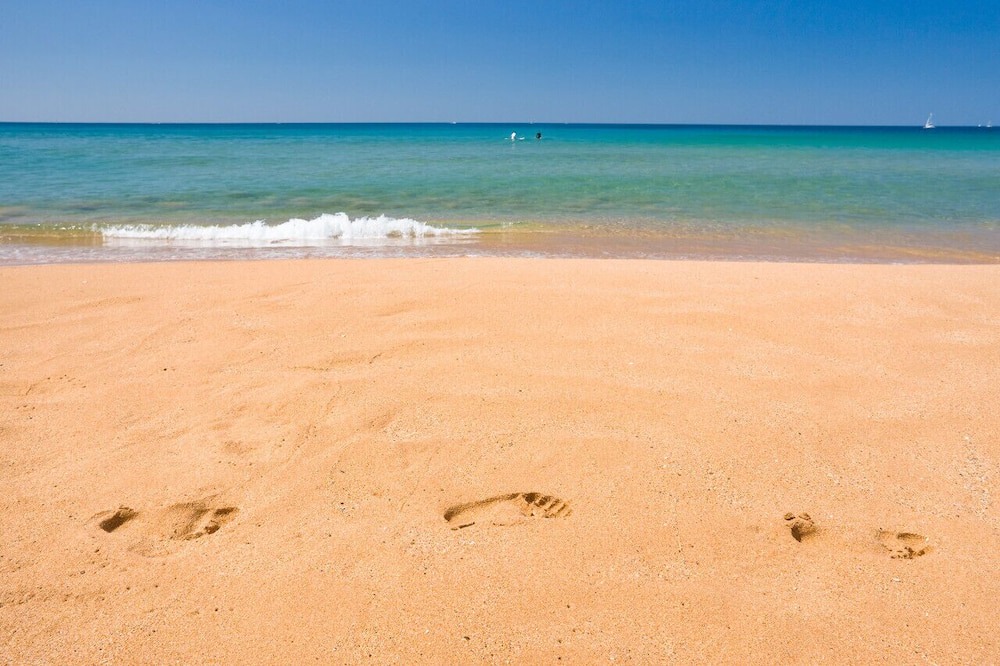 Photo of Others in Queenscliff