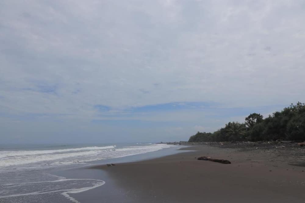 Photo of Others in Pulukan