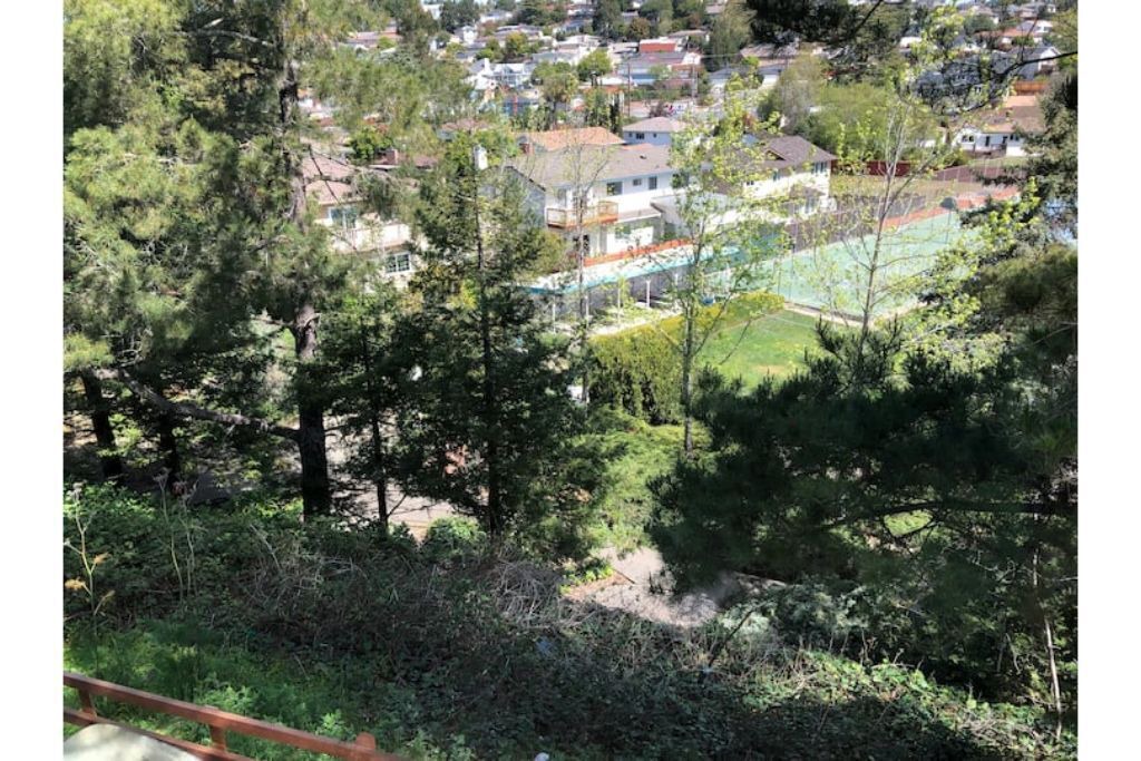 Photo of Outdoor in Castro Valley