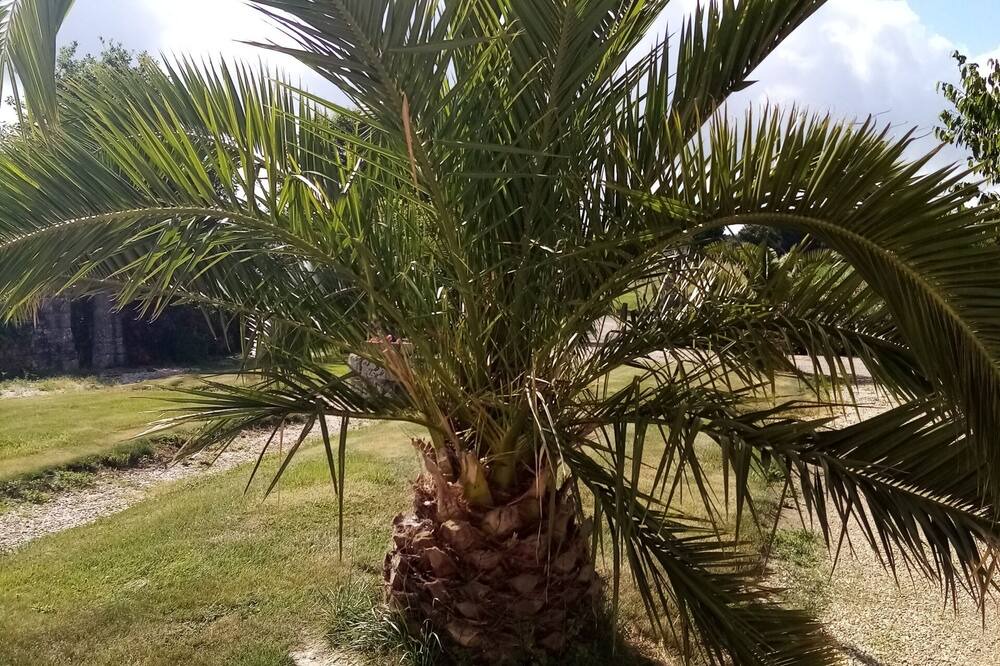 Photo of Others in Baguer-Morvan