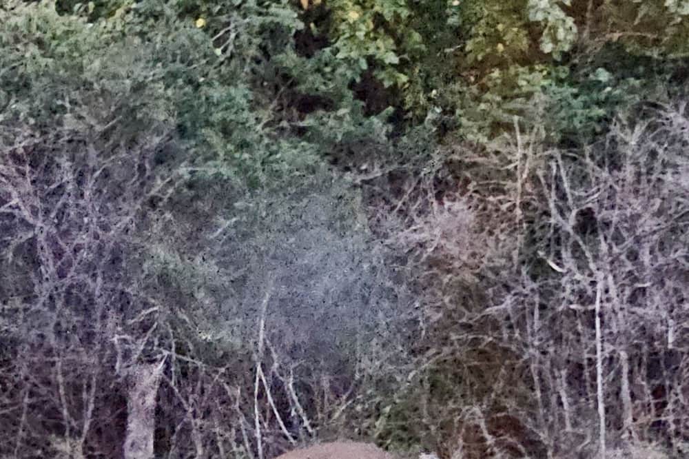 Photo of Outdoor in Neal