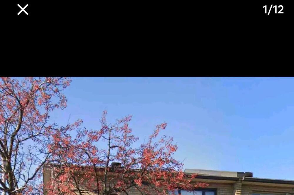 Photo of Outdoor in Mercier-Hochelaga-Maisonneuve