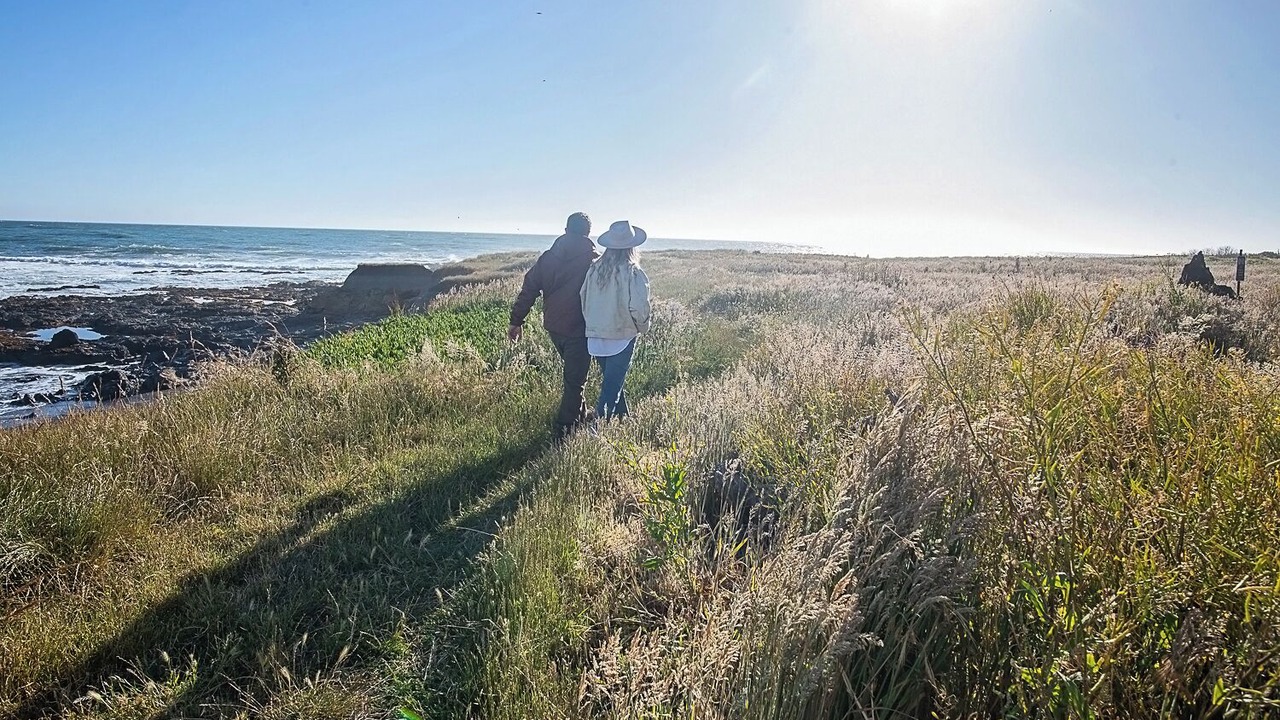 Photo of Outdoor in Shelter Cove