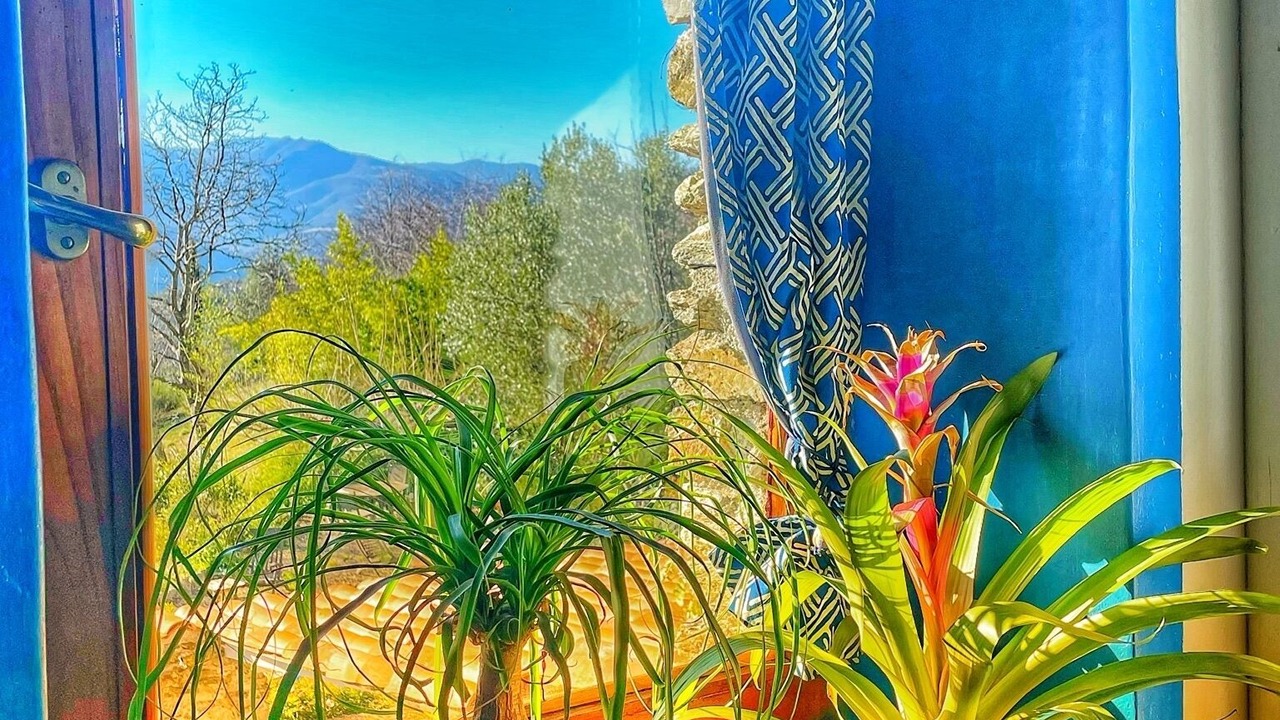 Photo of Others in Montferrer