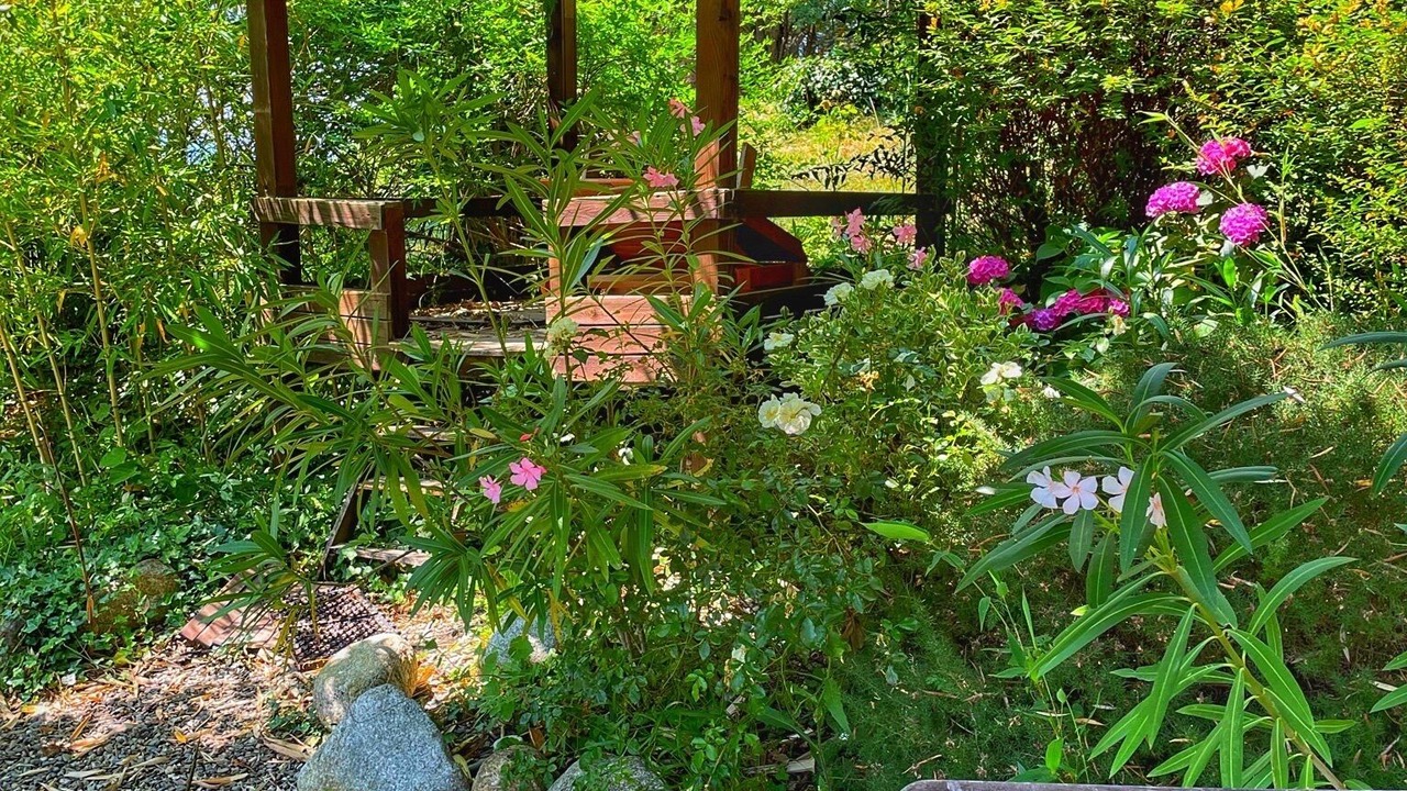 Photo of Outdoor in Montferrer