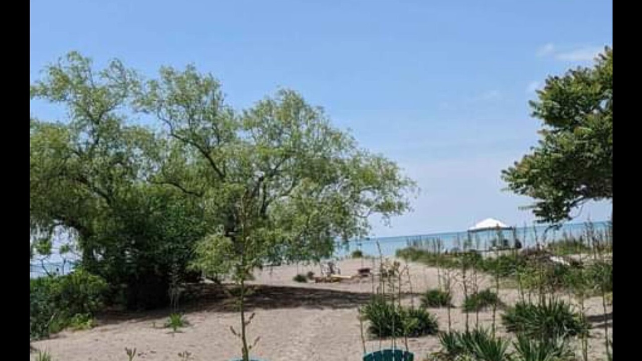 Photo of Outdoor in Central Elgin