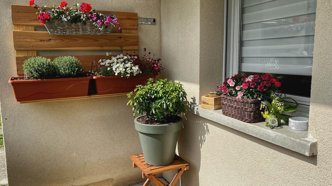 Photo of Outdoor in Provins