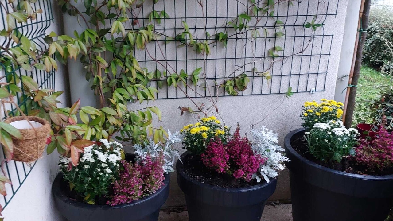Photo of Outdoor in Provins