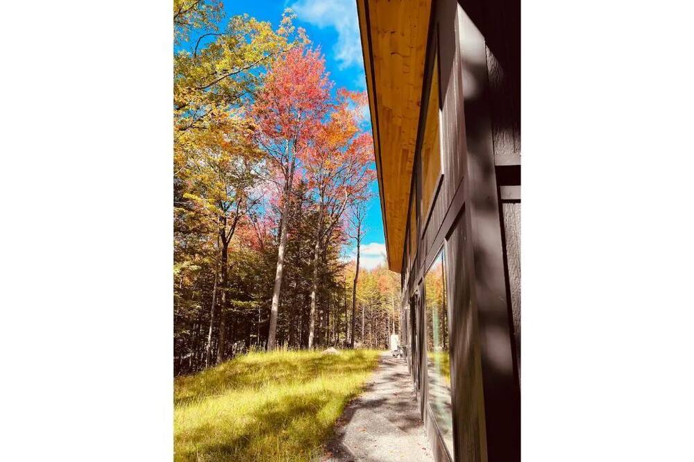 Photo of Outdoor in Haines Falls