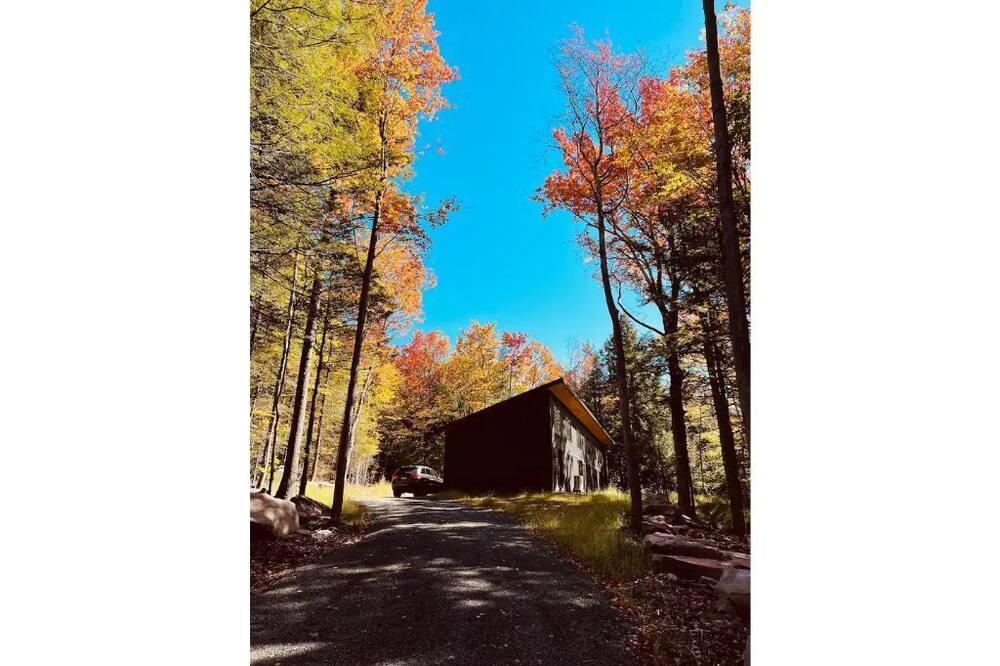 Photo of Outdoor in Haines Falls