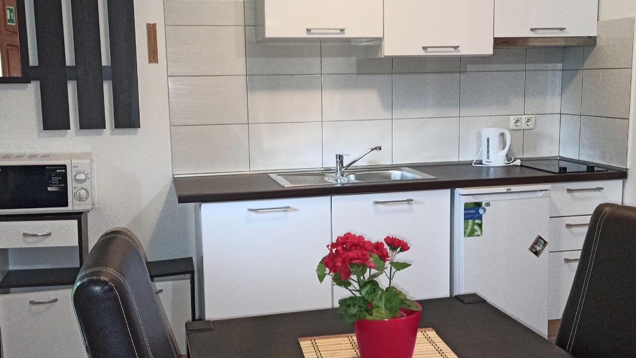Photo of Kitchen in Rudanovac