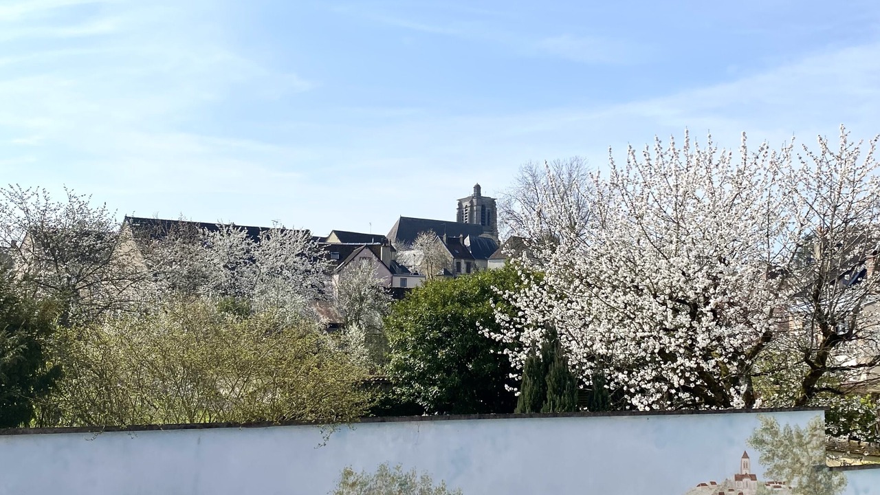 Photo of Outdoor in Sezanne